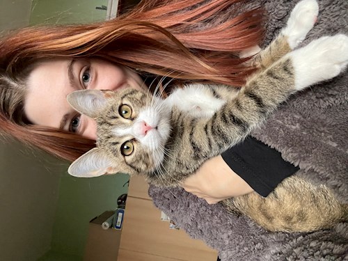 Niklai- petsitter Pécs vagy Állat szitter a kutyák cicák