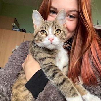 thumbnail petsitter Pécs vagy Állat szitter a kutyák cicák