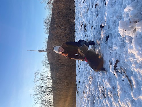 Niklai- petsitter Pécs vagy Állat szitter a kutyák cicák