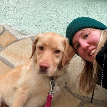 thumbnail petsitter Budapest or pet nanny for dogs cats