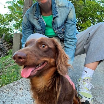 thumbnail petsitter Budapest or pet nanny for dogs cats