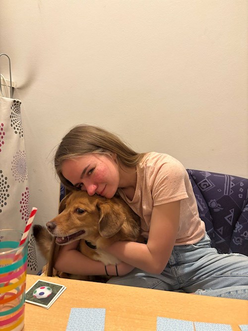 Kocsi- petsitter Budapest or Pet nanny for dogs cats 