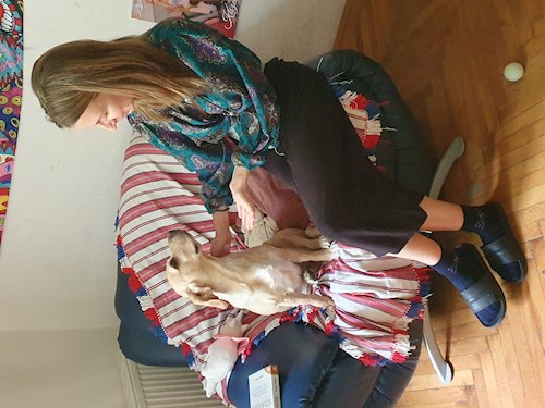 Gyopár- petsitter Budapest or Pet nanny for dogs cats