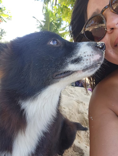 Fernanda- petsitter Budapest or Pet nanny for dogs cats