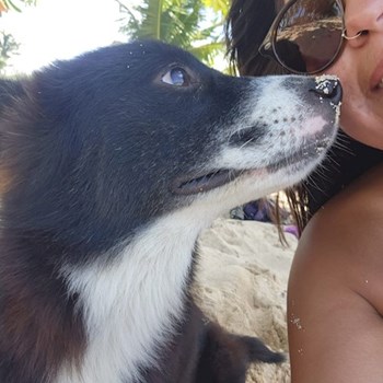 thumbnail petsitter Budapest or pet nanny for dogs cats