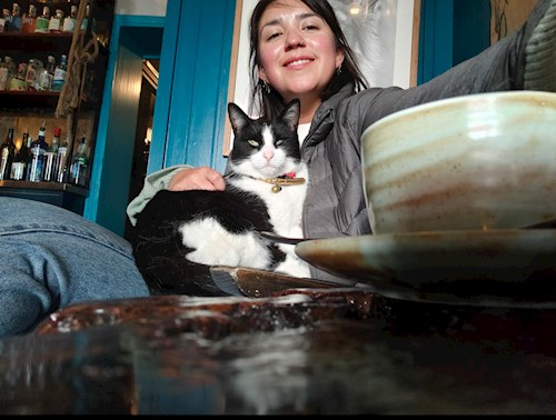 Fernanda- petsitter Budapest or Pet nanny for dogs cats