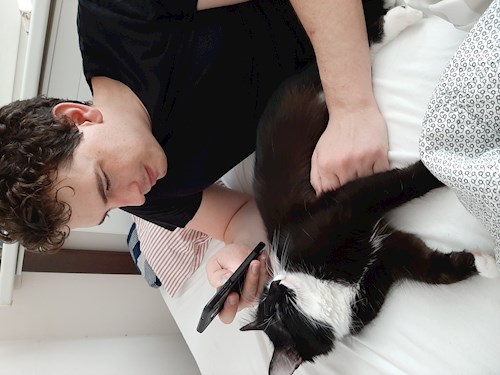 Varga- petsitter Budapest vagy Állat szitter a kutyák cicák 