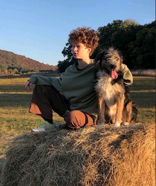 Natasa- petsitter Budapest vagy Állat szitter a kutyák cicák 
