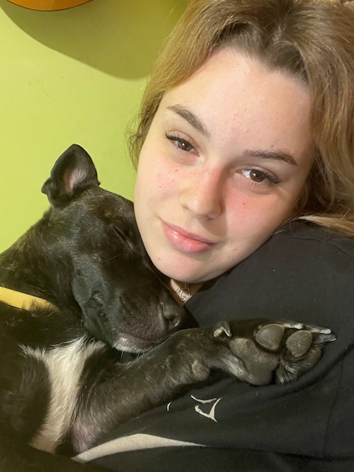 Burik- petsitter Budapest vagy Állat szitter a kutyák cicák 