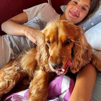 thumbnail petsitter Budapest vagy Állat szitter a kutyák cicák