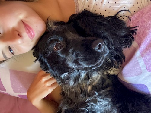 Krisztina- petsitter Budapest vagy Állat szitter a kutyák cicák