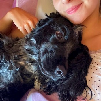 thumbnail petsitter Budapest vagy Állat szitter a kutyák cicák