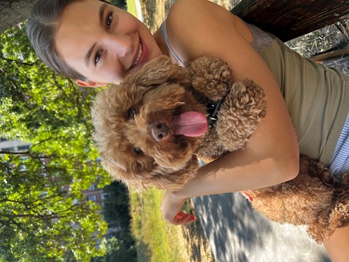Krisztina- petsitter Budapest vagy Állat szitter a kutyák cicák