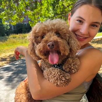 thumbnail petsitter Budapest vagy Állat szitter a kutyák cicák