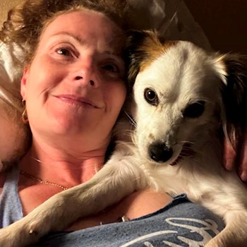 thumbnail petsitter Budapest vagy Állat szitter a kutyák cicák