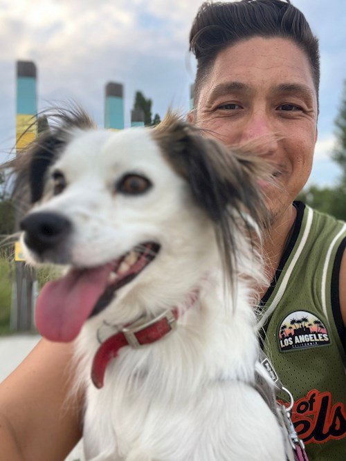 Krisztina- petsitter Budapest vagy Állat szitter a kutyák cicák