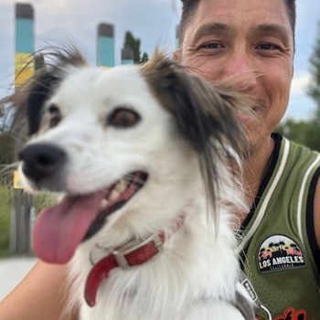 thumbnail petsitter Budapest vagy Állat szitter a kutyák cicák