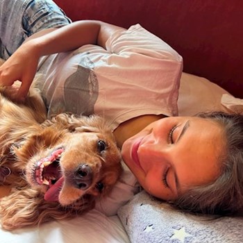 thumbnail petsitter Budapest vagy Állat szitter a kutyák cicák