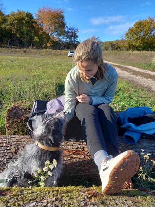 Áder- petsitter Budapest or Pet nanny for dogs cats 