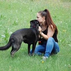 Bogya - pet sitter cicák kutyák Dunakeszi