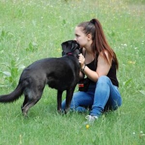 petsitter Dunakeszi or Pet nanny for Dogs Cats 