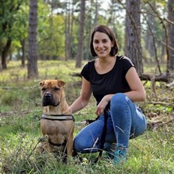 Tatorján - pet sitter Budapest