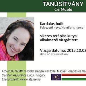petsitter Budapest vagy Állat szitter a Kutyák Cicák