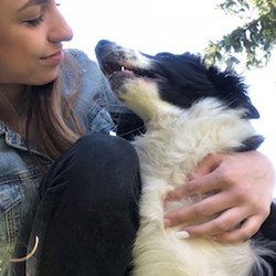 F. - pet sitter cats dogs Budapest