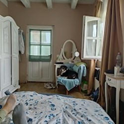 Ildikó - pet sitter cats dogs Budapest