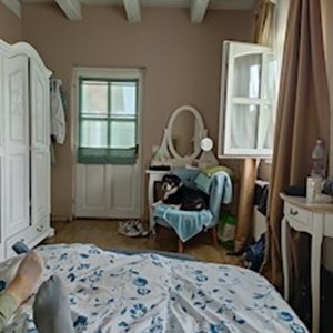 petsitter Budapest or Pet nanny for Dogs Cats