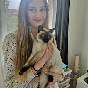 petsitter Budapest vagy Állat szitter a Kutyák Cicák 