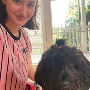 petsitter Biatorbágy or Pet nanny for Dogs Cats