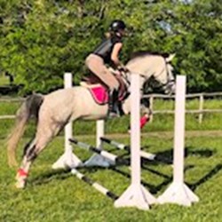 Pádár - pet sitter kutyák Budapest