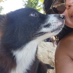 Fernanda - pet sitter cats dogs Budapest