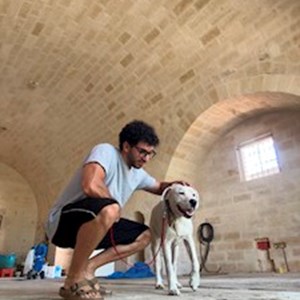 petsitter Budapest or Pet nanny for Dogs Cats