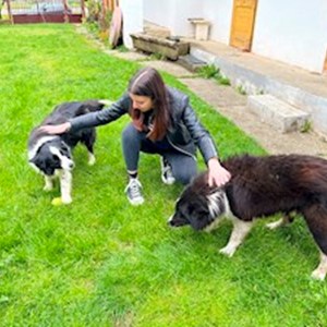 petsitter Budapest or Pet nanny for Dogs Cats
