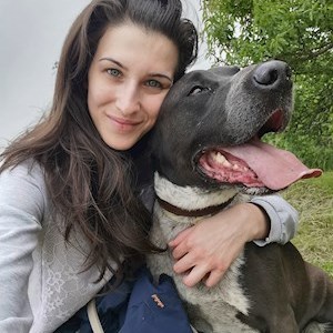 petsitter Budapest or Pet nanny for Dogs Cats 