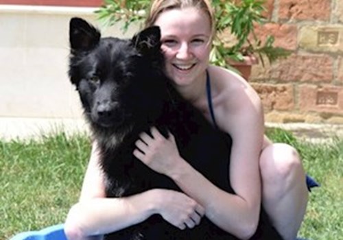 Kutyasétáltatót keres Kutyasétáltatót keres