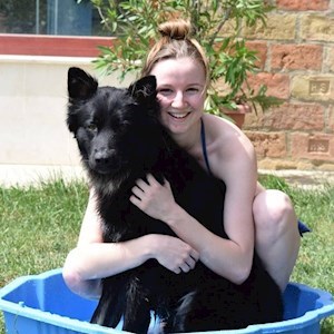 petsitter Pécs vagy Állat szitter a Kutyák Cicák