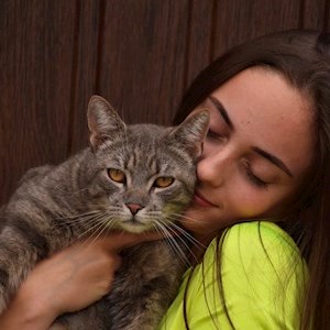 petsitter Budapest or Pet nanny for Dogs Cats