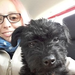 Linda - pet sitter cicák kutyák Pécs