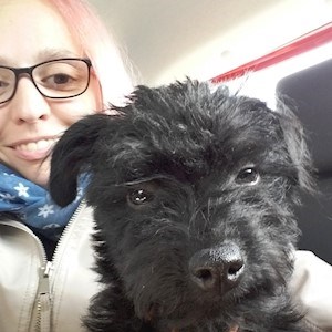 petsitter Pécs vagy Állat szitter a Kutyák Cicák