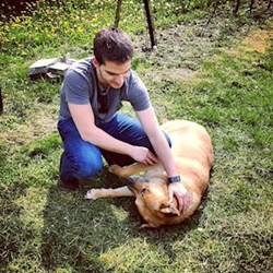 Szabó - pet sitter dogs Budapest