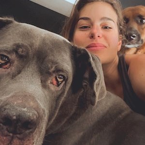 petsitter Budapest or Pet nanny for Dogs