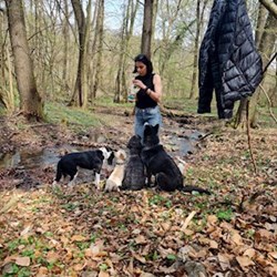 Wagner - pet sitter cicák kutyák Budapest