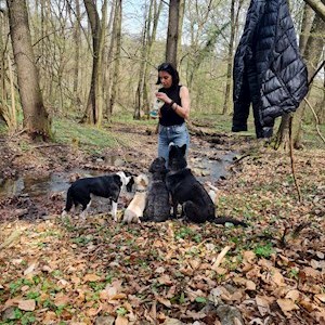 petsitter Budapest or Pet nanny for Dogs Cats
