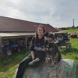 Luca - pet sitter cats dogs Budapest
