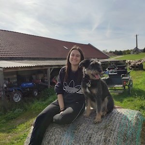 petsitter Budapest vagy Állat szitter a Kutyák Cicák 