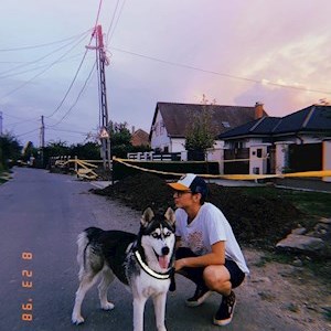petsitter Debrecen vagy Állat szitter a Kutyák
