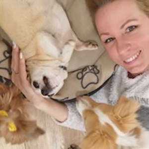 petsitter Érd or Pet nanny for Dogs Cats 